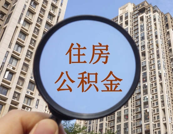 桓台单位补缴公积金需要什么手续（单位补缴公积金需要什么资料）